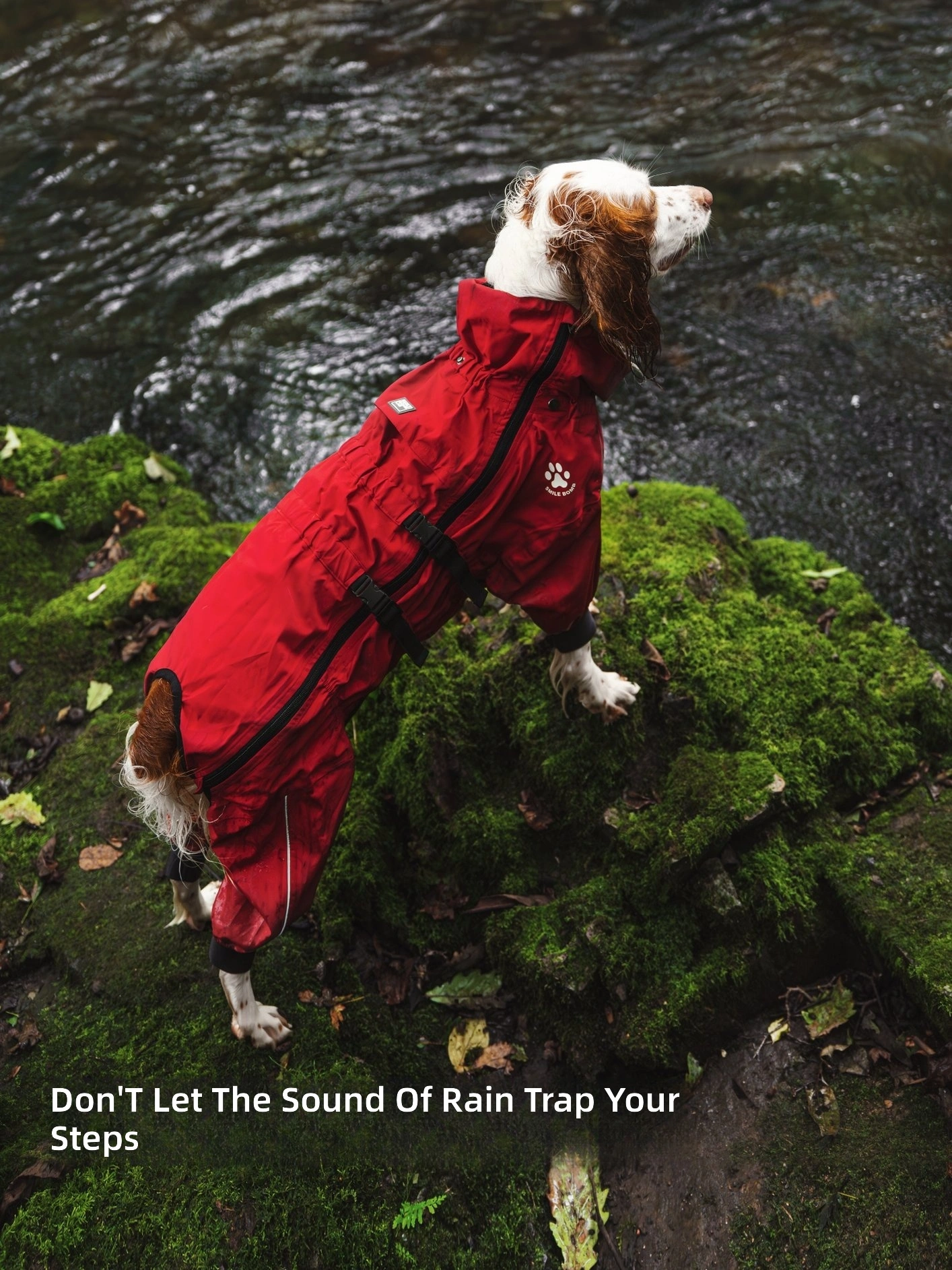 Waterproof Dog Raincoat with Removable Visor Hood