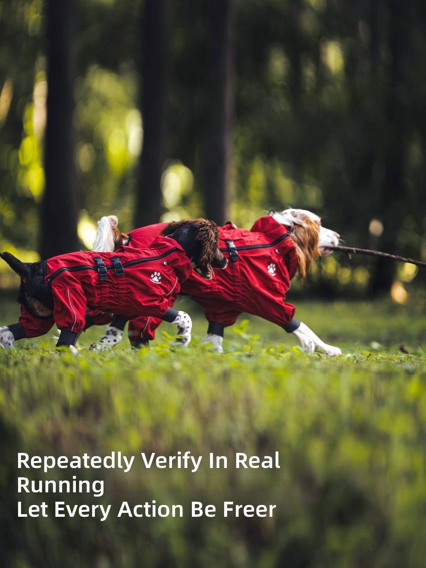 Waterproof Dog Raincoat with Removable Visor Hood thumbnail 3