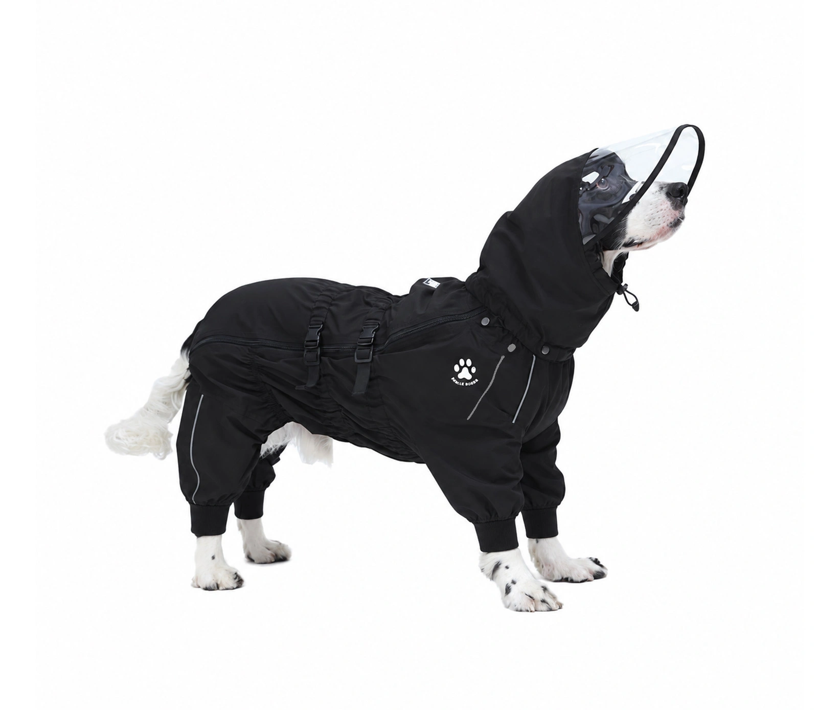 Waterproof Dog Raincoat with Removable Visor Hood thumbnail 8