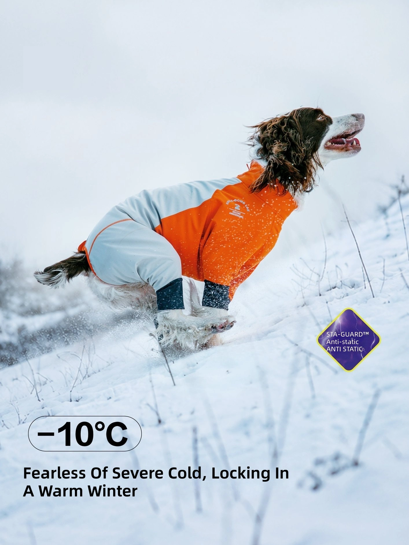 Waterproof Dog Ski Suit — 3-Layer Fleece Winter Coat